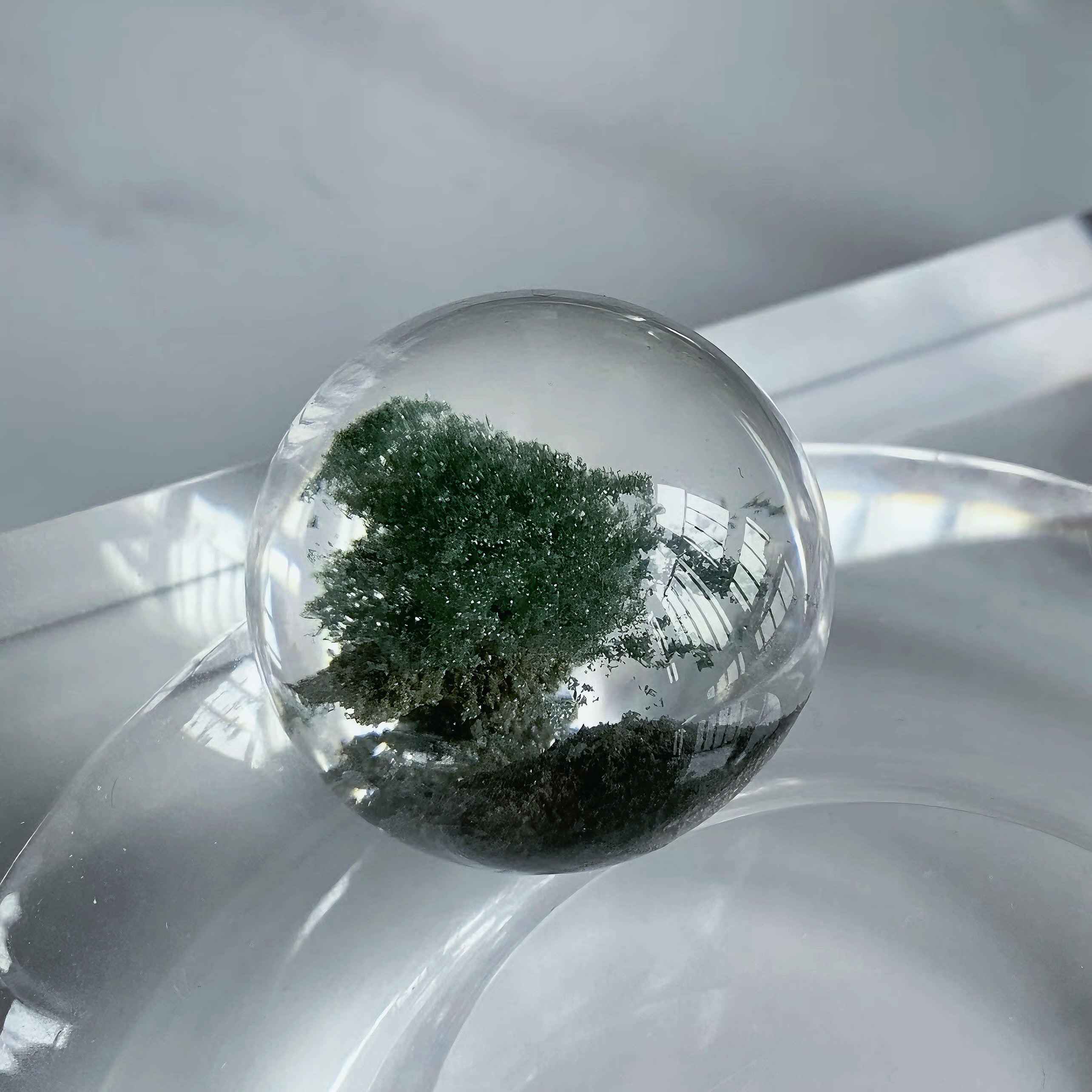 The Energies of Twenty Common Crystals